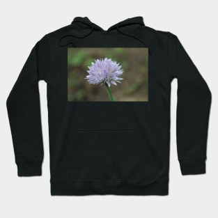 Green Onion Blossom Photographic Image Hoodie